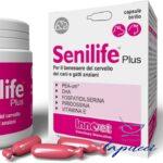 SENILIFE PLUS 30 CAPSULE